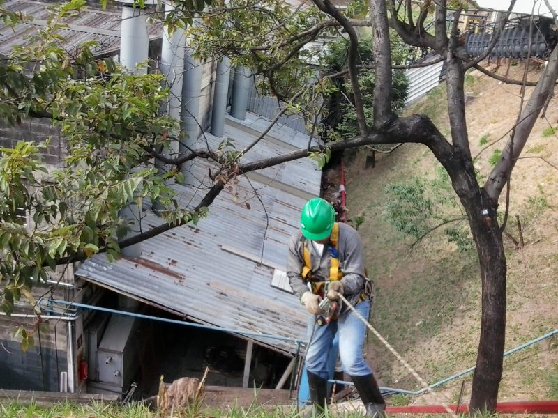 Imagens da Consultoria Ambiental