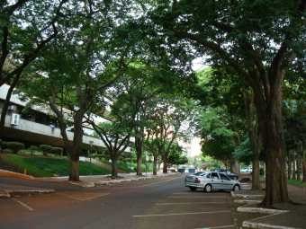 BASES ECOLÓGICAS PARA O DESENVOLVIMENTO SUSTENTÁVEL – ECOLOGIA URBANA
