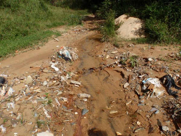 Imagens da Consultoria Ambiental