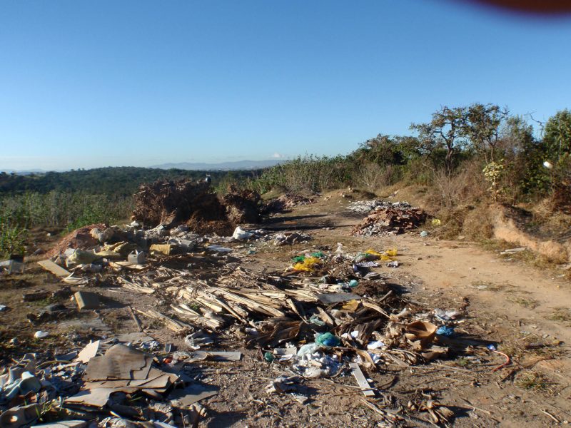 Imagens da Consultoria Ambiental