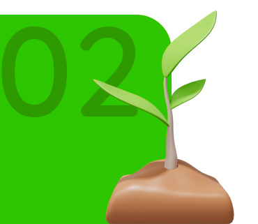 Acessoria e Consultoria Ambiental: Arborização Urbana