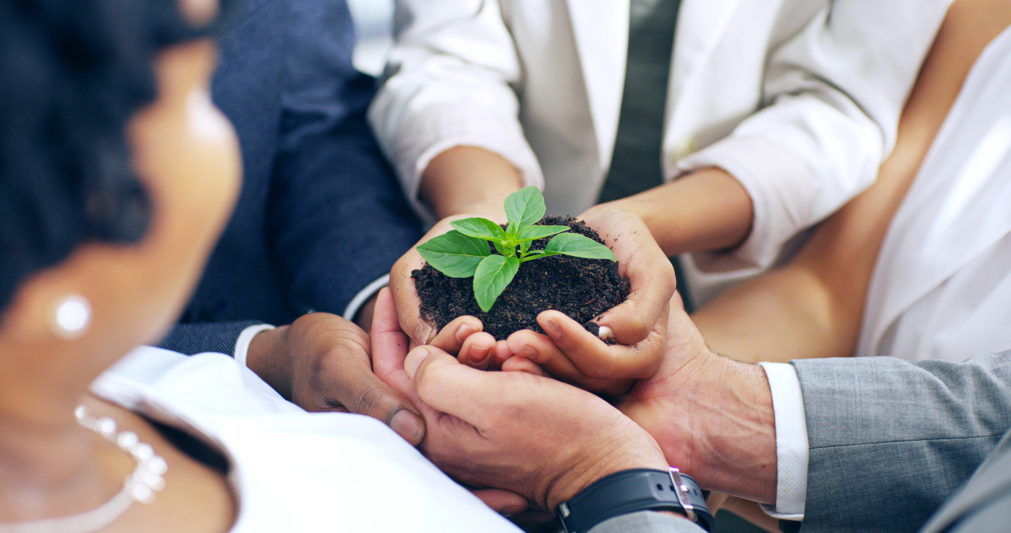 Consultoria ambiental
